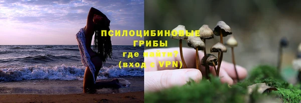 ALPHA PVP Богданович