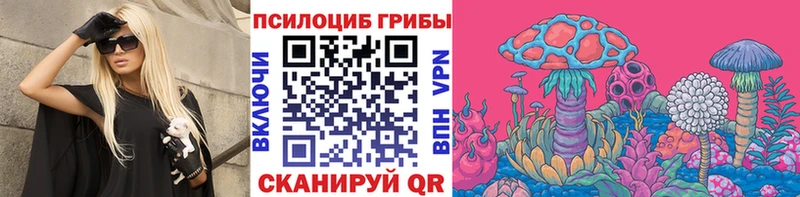 Галлюциногенные грибы мицелий  закладка  это какой сайт  Люберцы 